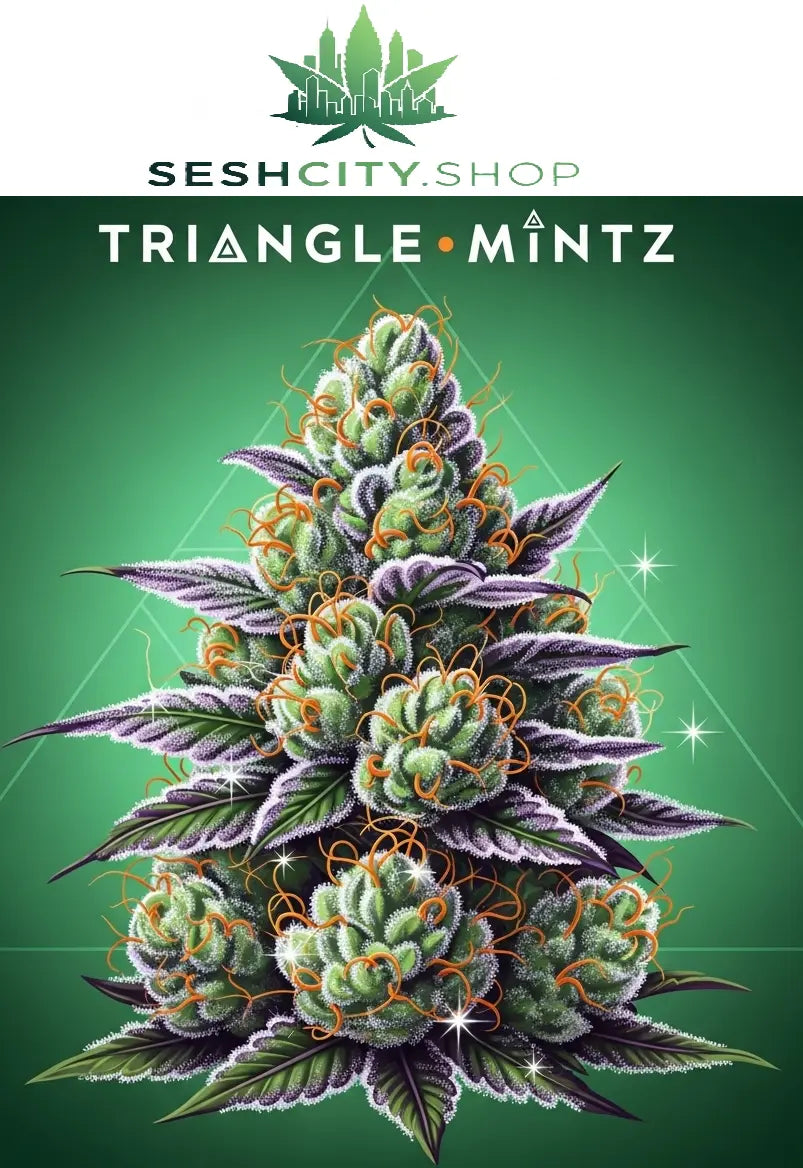 PREORDER: *EXOTIC* 30.56% THCa Triangle Mintz THCa Flower (Ships 9/17) SeshCity.Shop