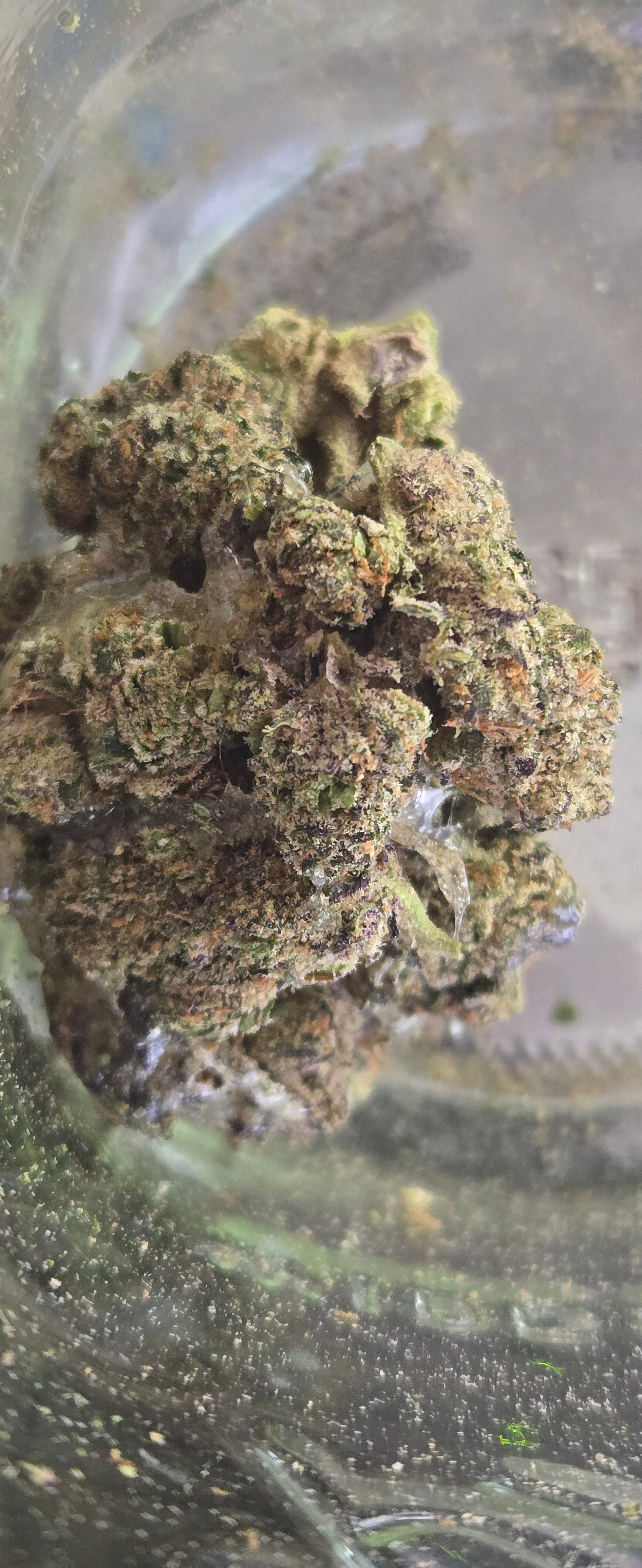Small Batch - "Super Nug" - THCa Flower/Shatter Blend (not ground up)