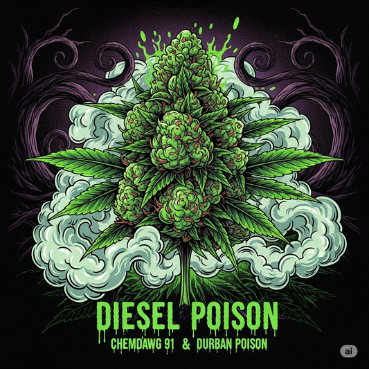 Diesel Poison THCa Flower