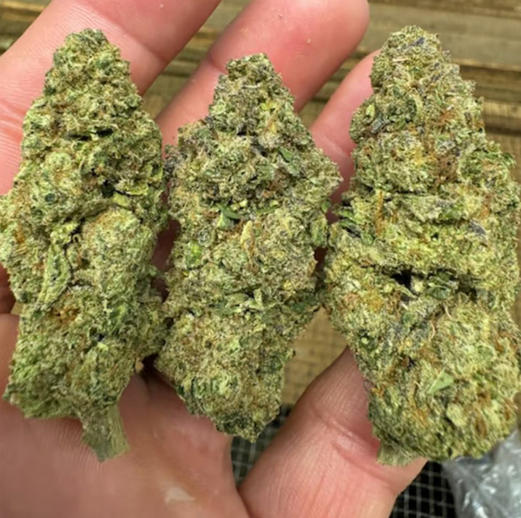 Shipping July 3: Gushers THCA Flower