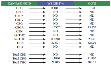 Jungle Lava THCa Flower