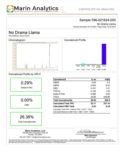 Budget City: $74.99/oz No Drama Llama THCa Flower