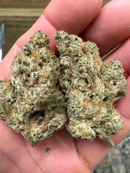 Budget City: $79.99/oz OG Chem THCA Flower