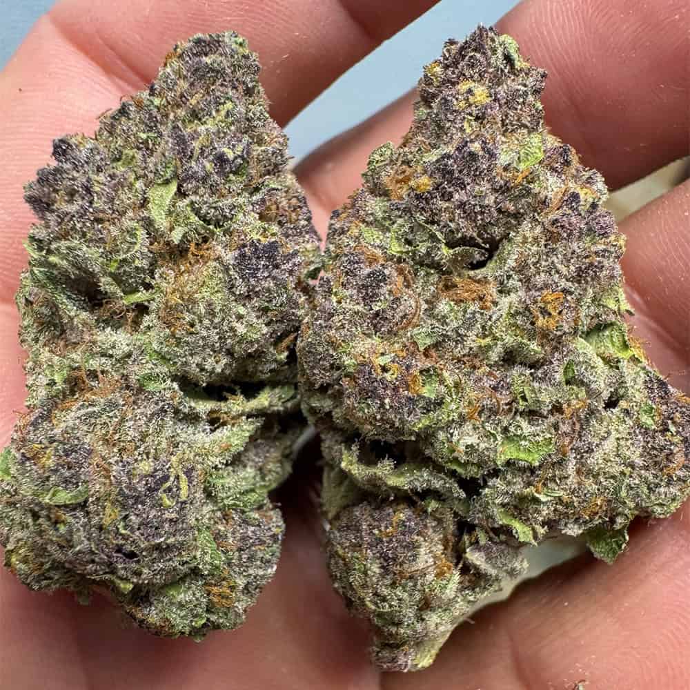 NEW DROP 10/7: Trop Cherry THCA Flower